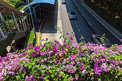 网易暴雪决裂内幕：暴雪要求网易支付5亿美元